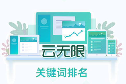 seo网络运营